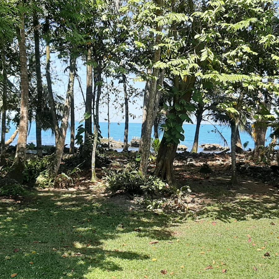 Cahuita Inn Εξωτερικό φωτογραφία