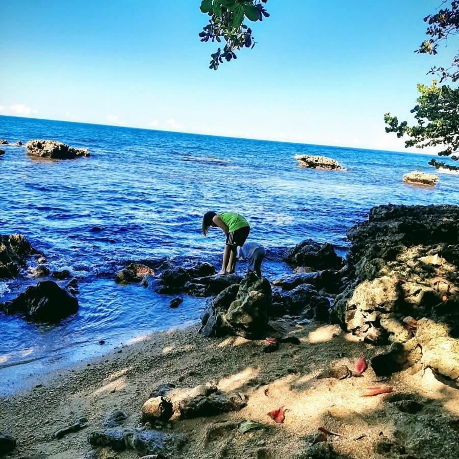 Cahuita Inn Εξωτερικό φωτογραφία