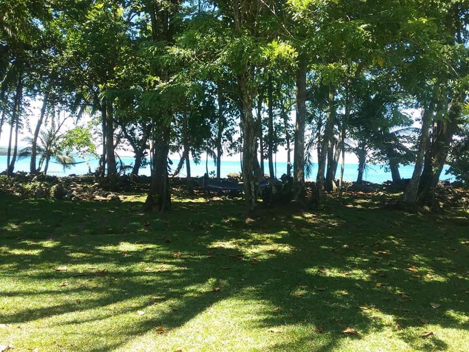 Cahuita Inn Εξωτερικό φωτογραφία