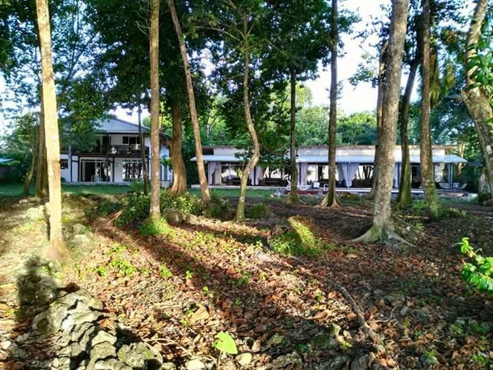 Cahuita Inn Εξωτερικό φωτογραφία