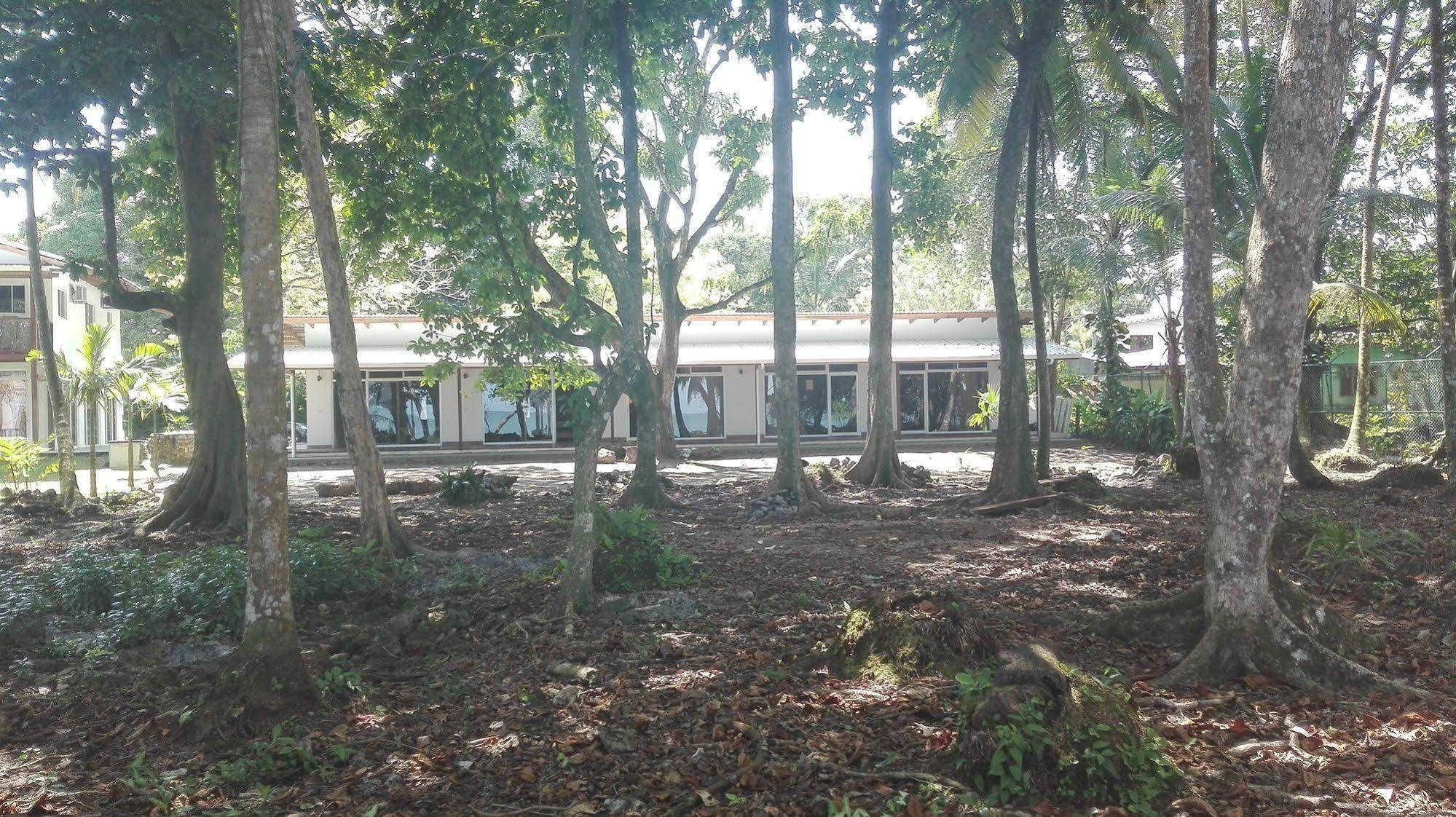 Cahuita Inn Εξωτερικό φωτογραφία